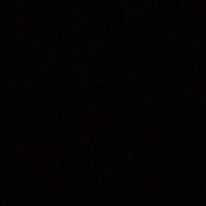 Meet your Posher, Kenny